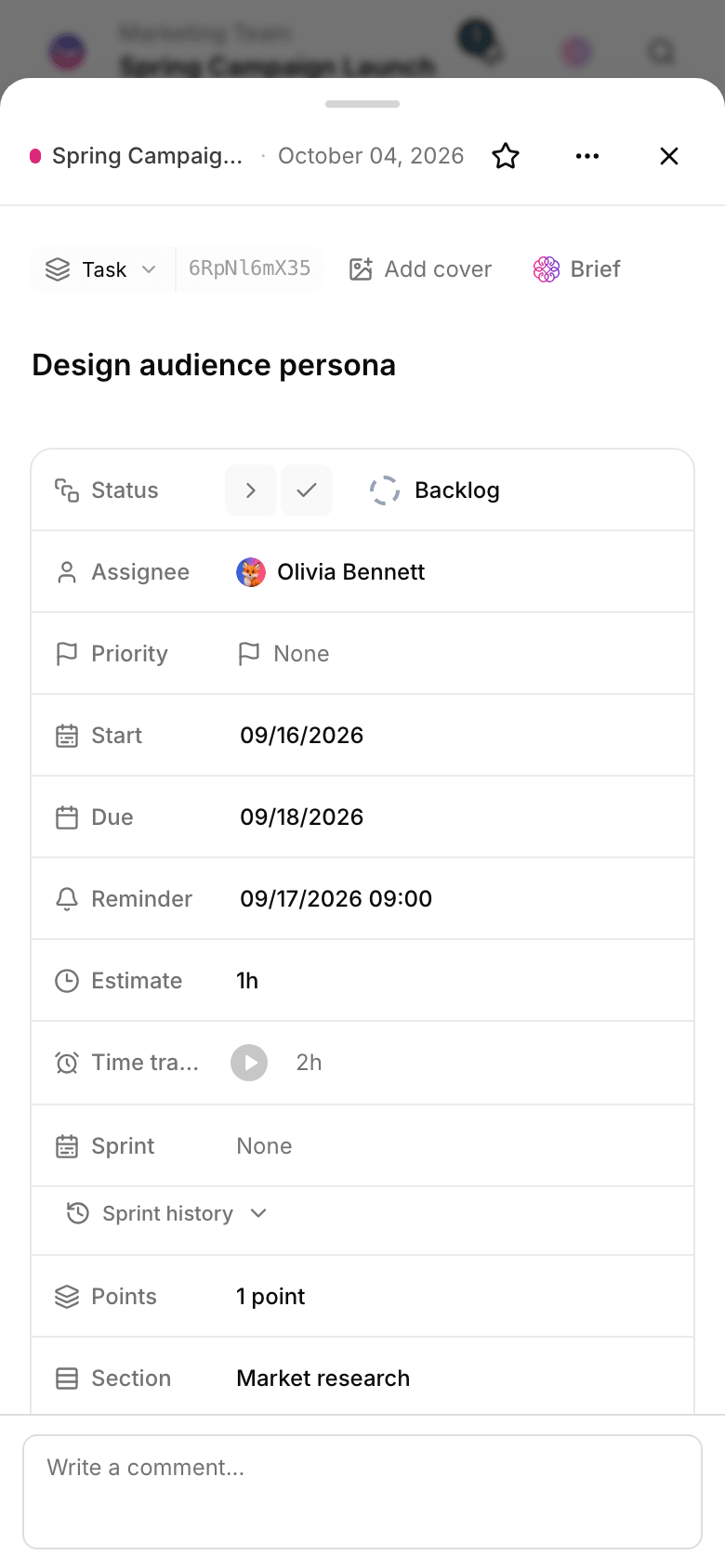 Task details in Taskie with custom fields