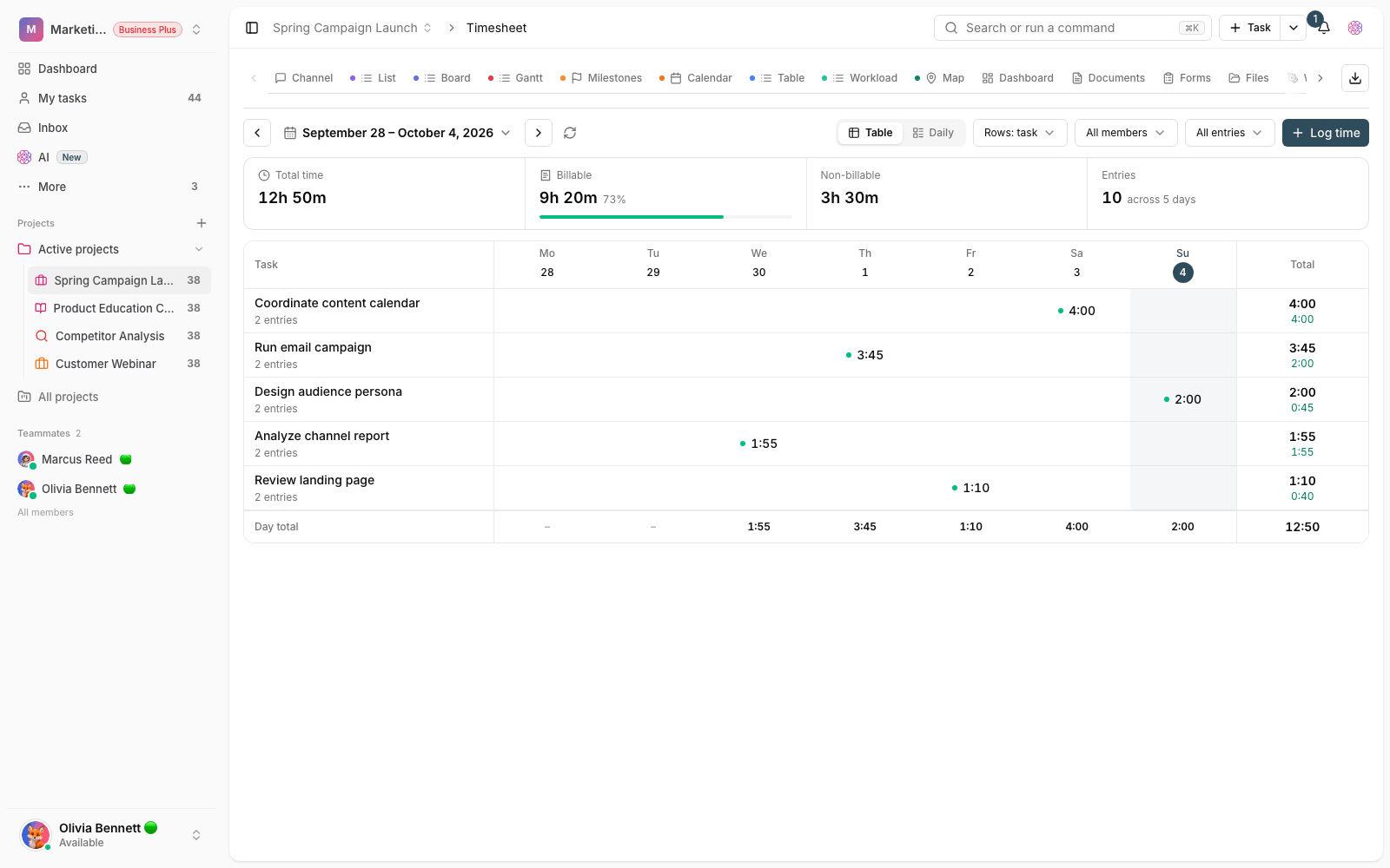 Project timesheet