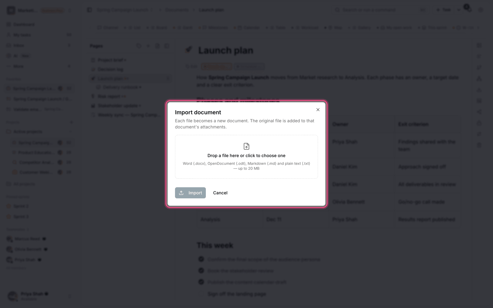 Importing a file into documents