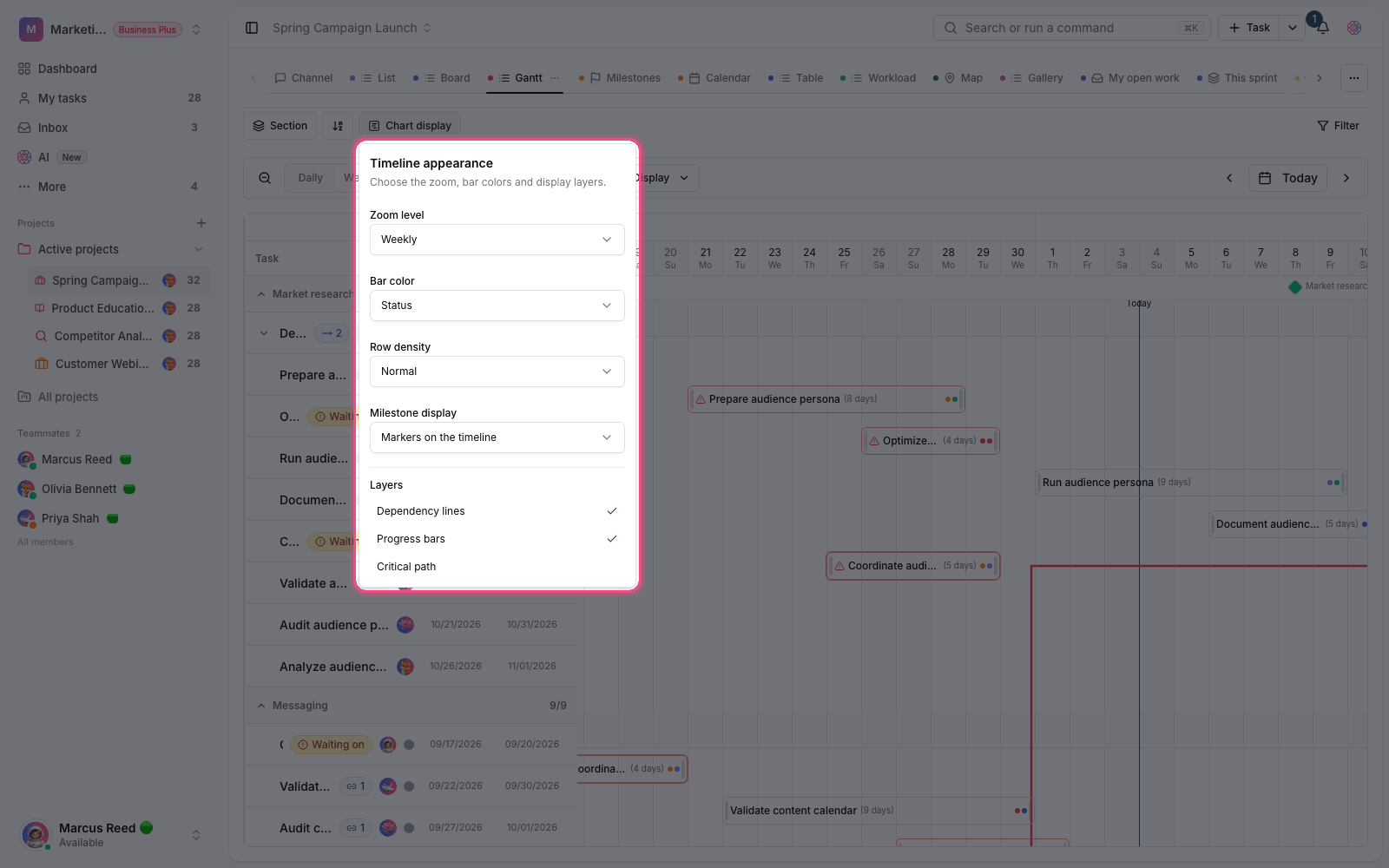Gantt display options