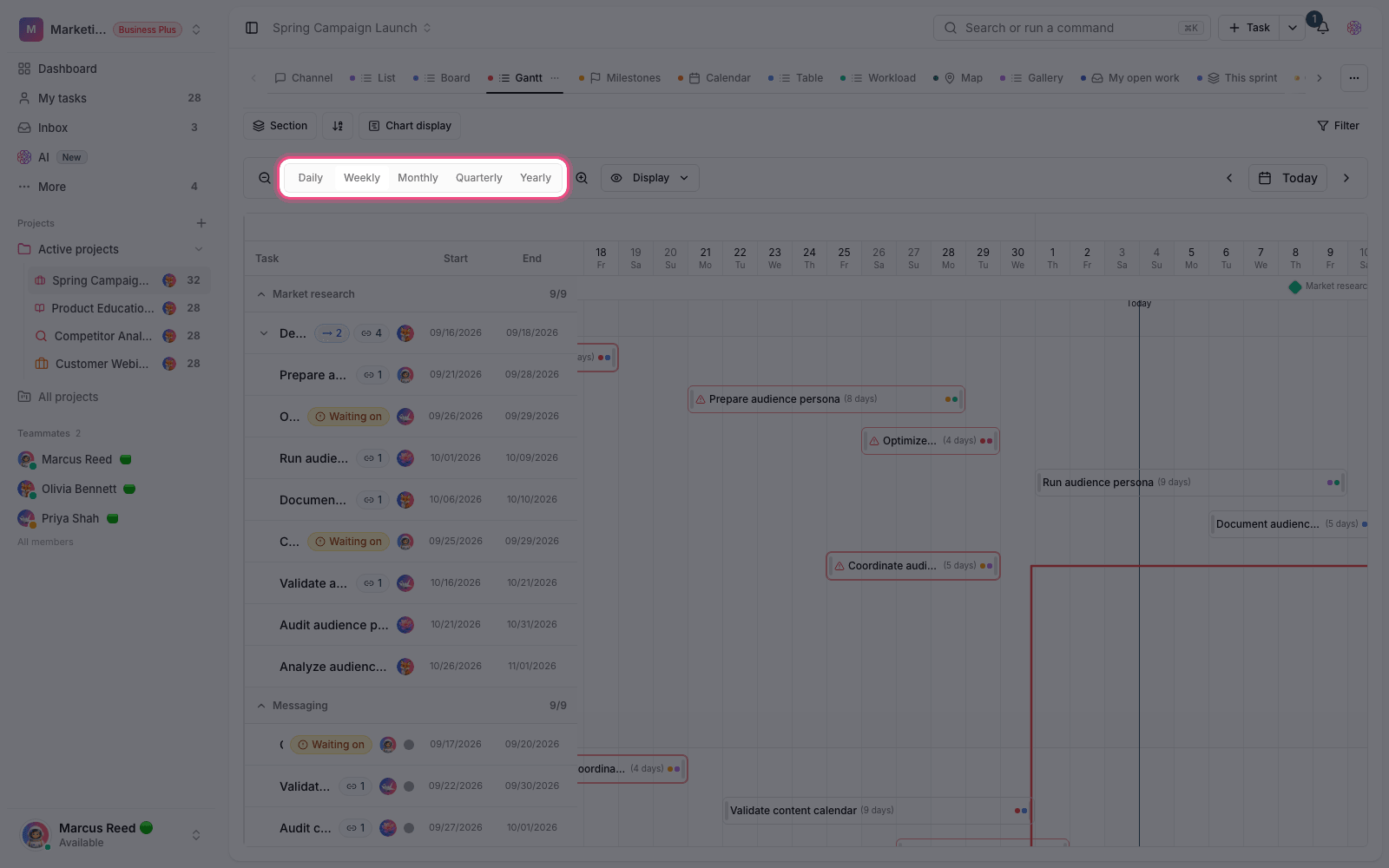 Gantt zoom levels