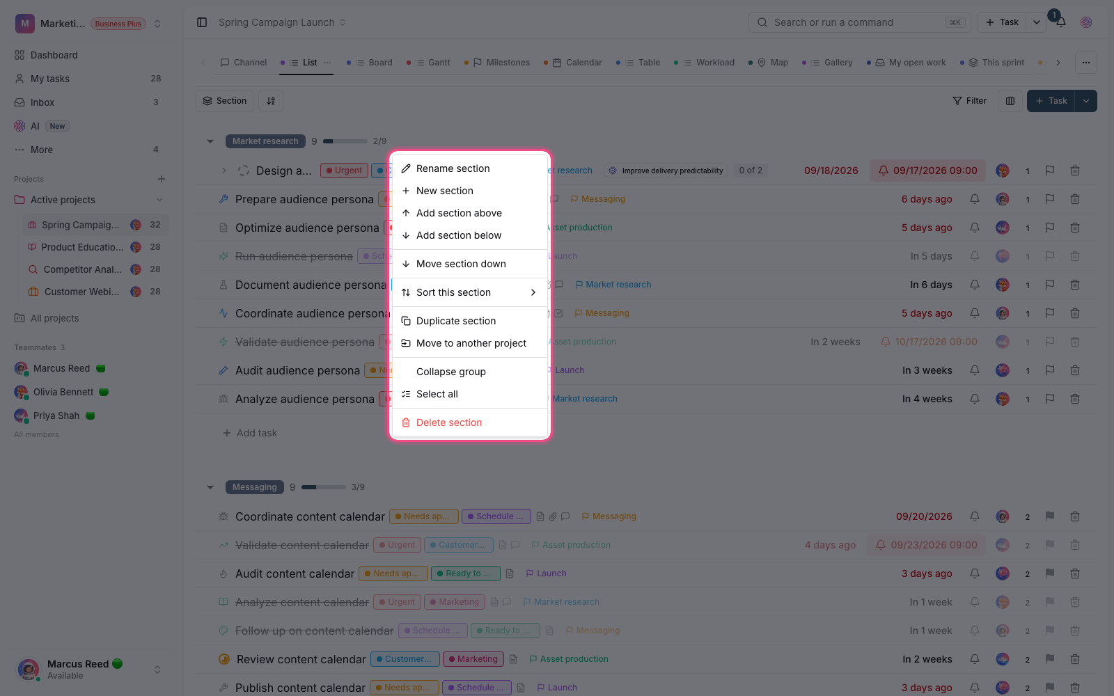 Section options