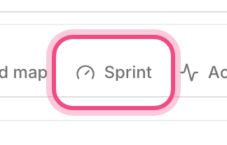 Sprint view
